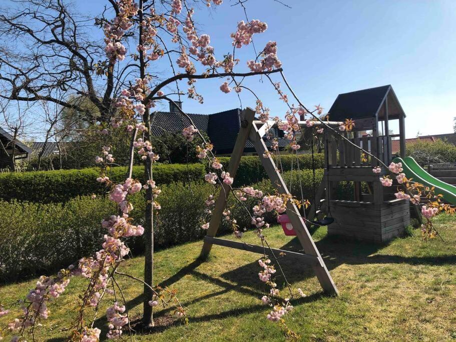 Villa Lyckehusen Löddeköpinge Esterno foto
